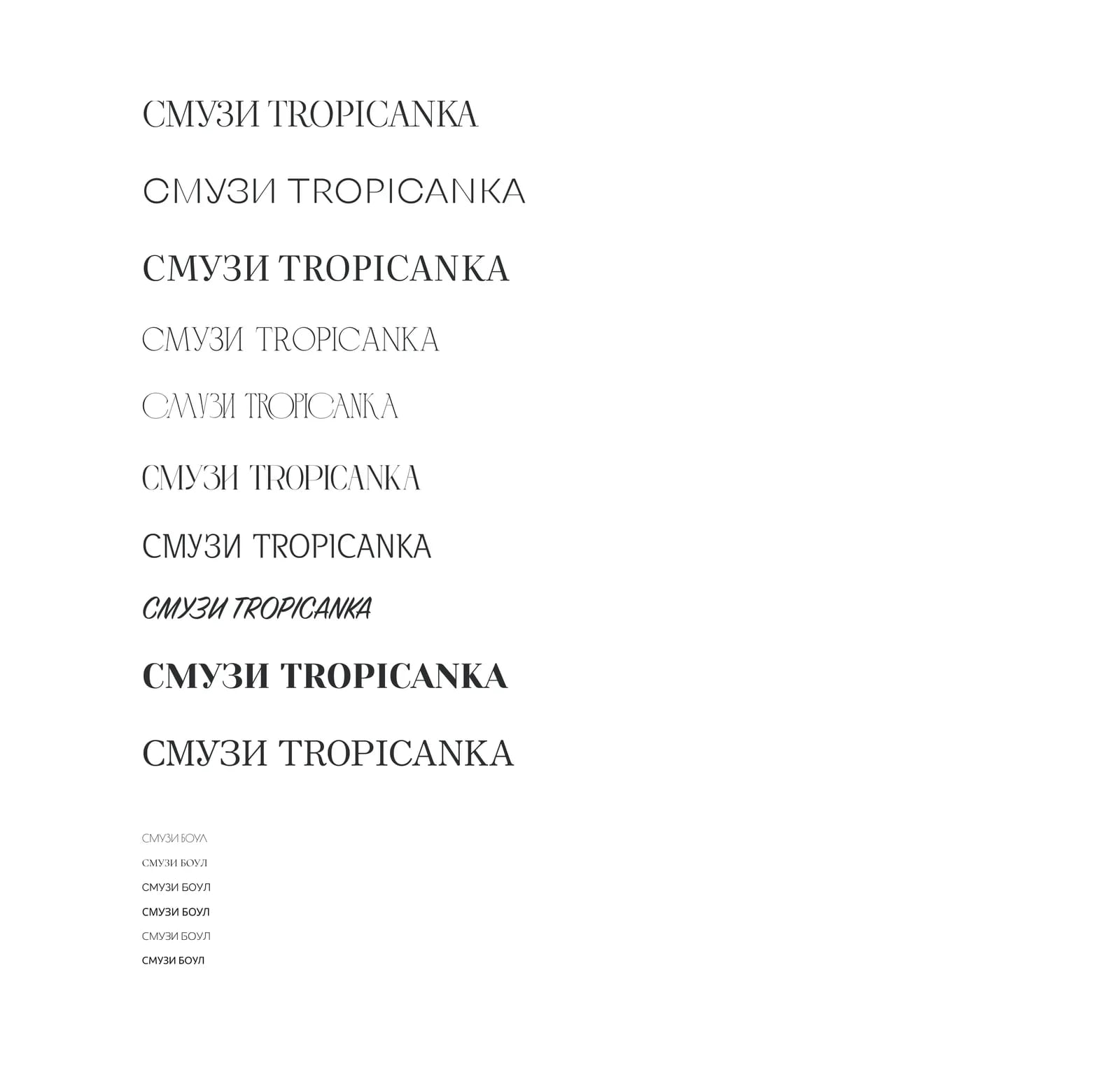 Одна фраза, набранная разными гарнитурами